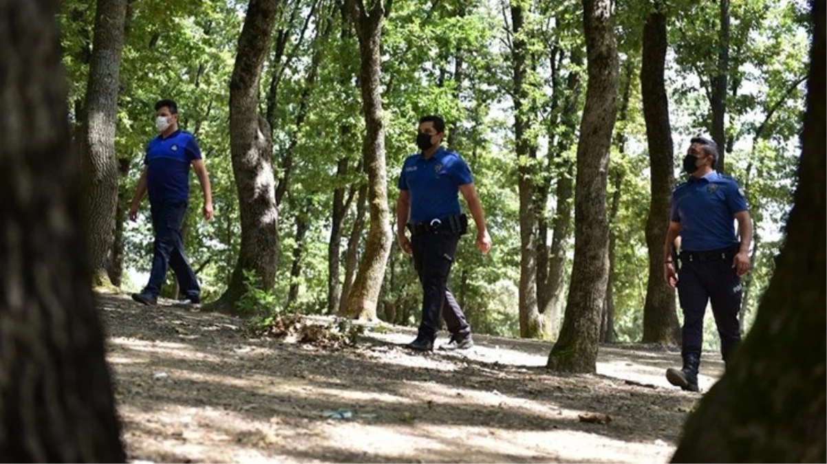 Ankara'da Ormanlık Alanlara Girişler Yasaklandı