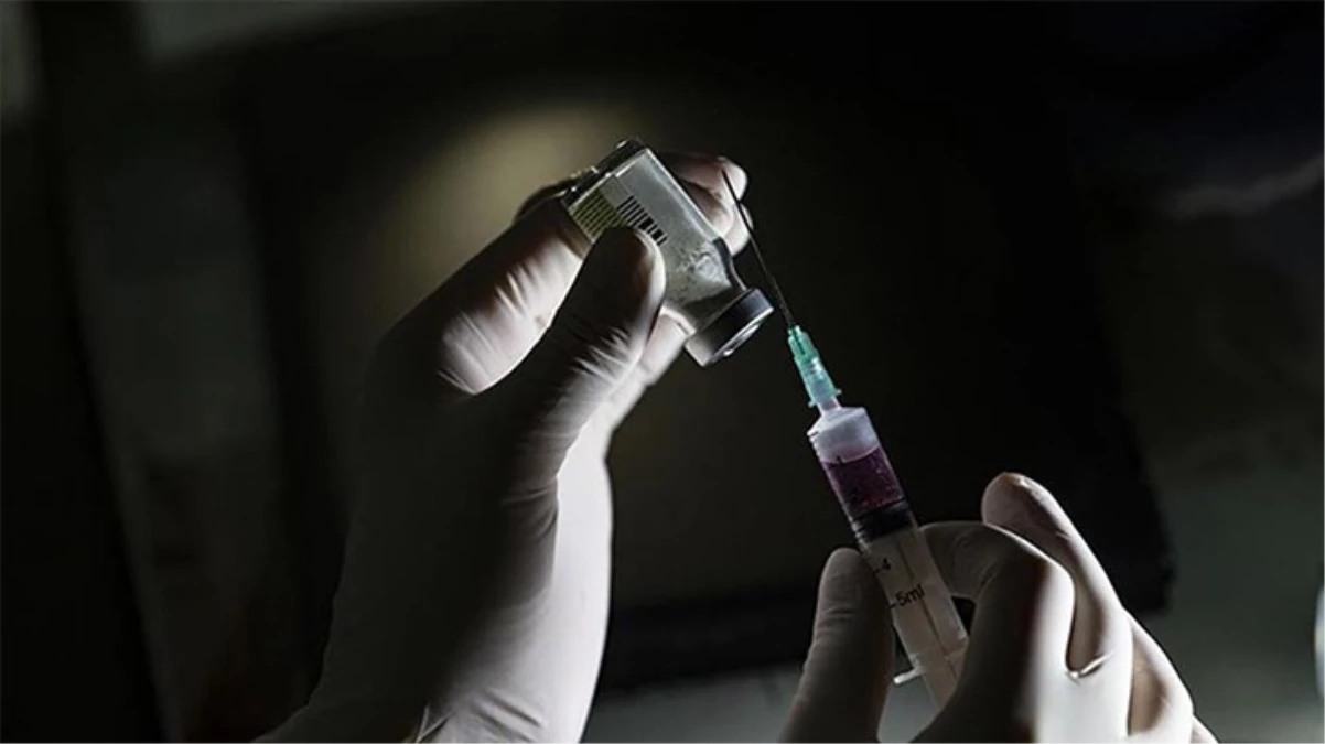 COVID-19 Aşıları Yoğun Bakıma Yatışı ve Ölümü Etkili Bir Şekilde Engelliyor
