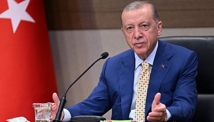 Son dakika | Erdoğan o ülkelere seslenip 